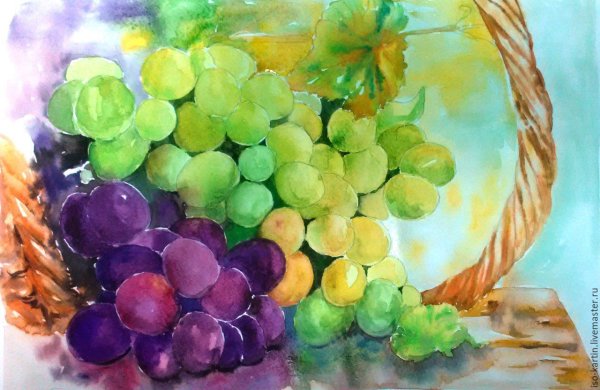 Виноград akvareli