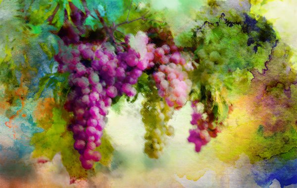 Вугар Мамедов художник виноград