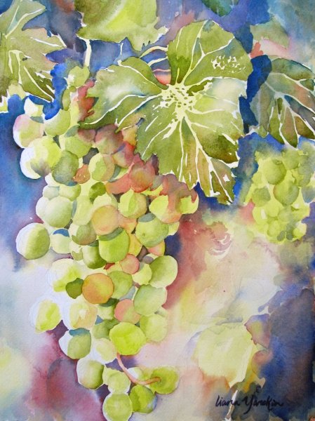 Акварель виноград Лиана