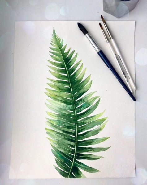 Лист папоротника акварель
