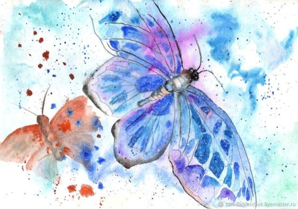 Акварель "бабочка"