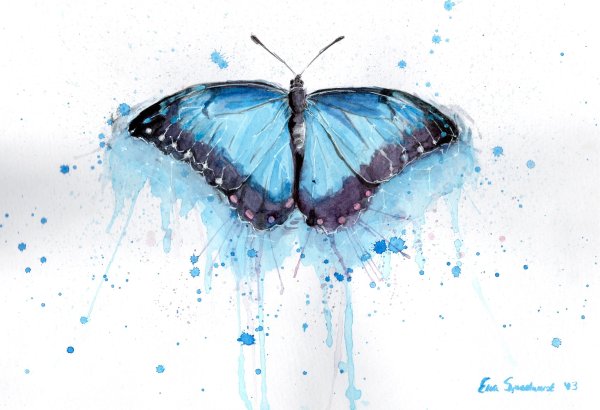 Голубая бабочка акварель