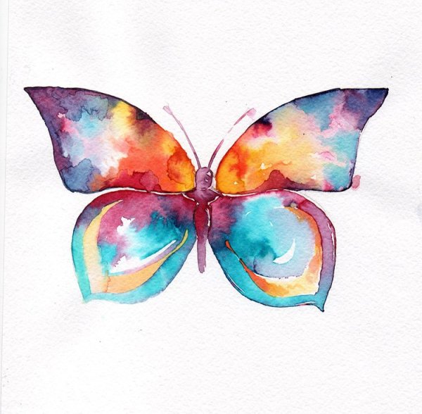 Акварель "бабочка"