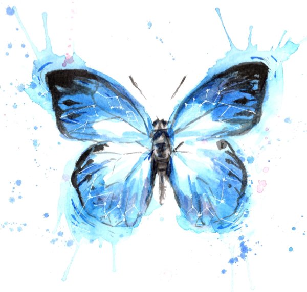 Акварель "бабочка"