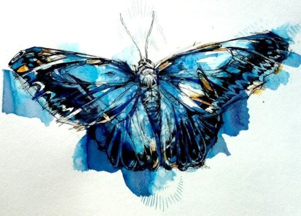 Голубые Акварельные бабочки