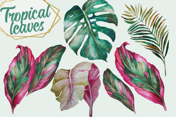 Тропические листья акварелью