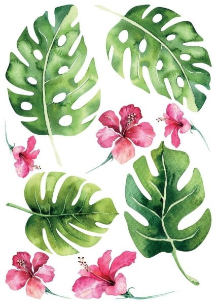 Тропические растения акварель