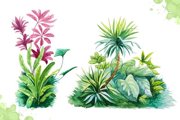 Тропические веточки