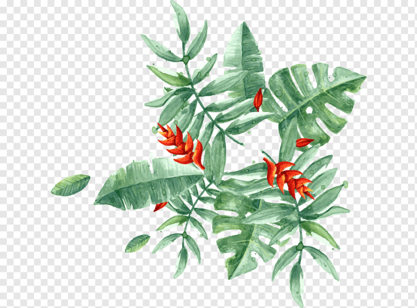 Тропические цветы акварель