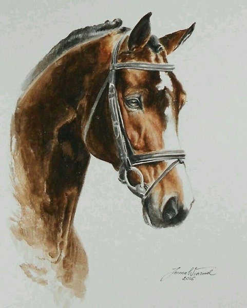 Портрет лошади акварелью