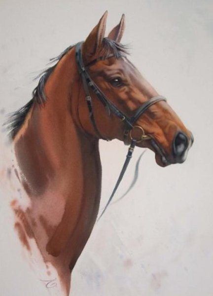 Портрет лошади акварелью