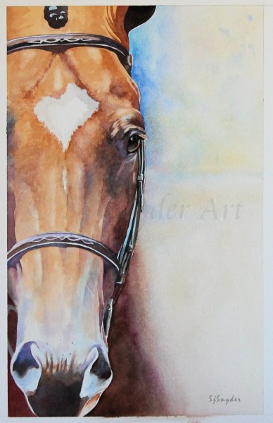 Морда лошади акварелью