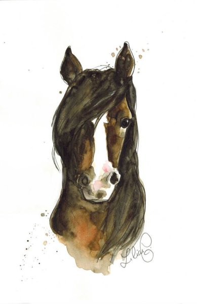 Лошадки акварель