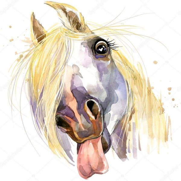 Лошадь гуашью