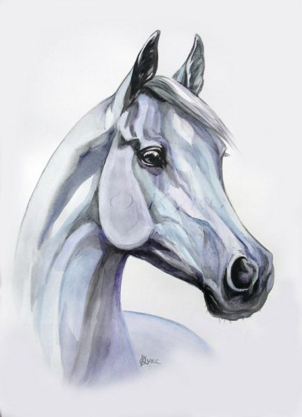 Лошадь набросок акварель