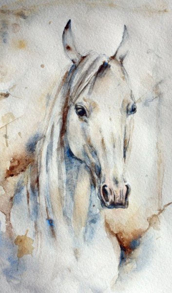 Лошадь акварельными карандашами