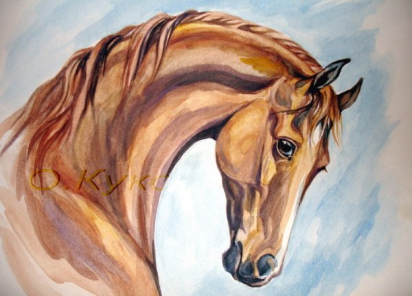 Голова лошади