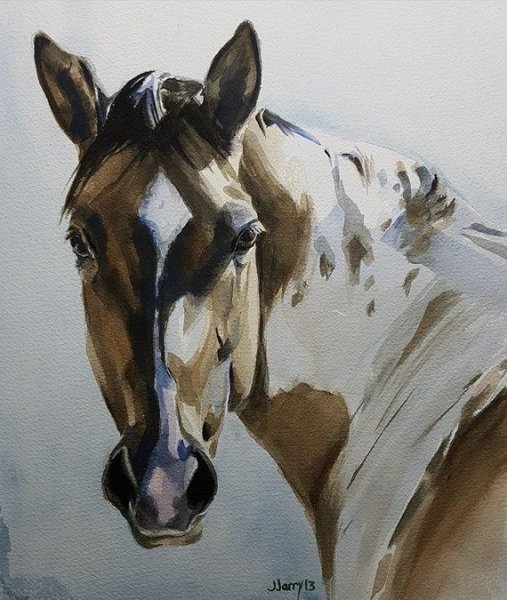 Лошадь рисунок акварелью