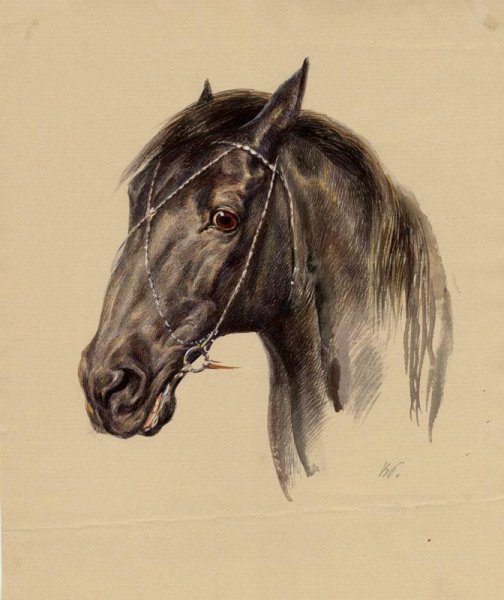 Гнедая лошадь акварелью