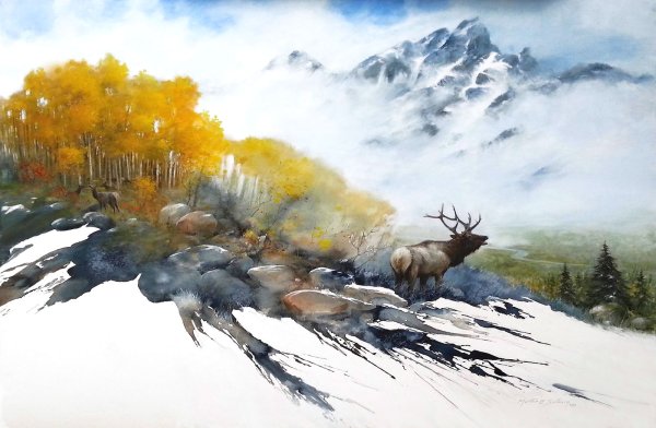 Художник Morten e. Solberg