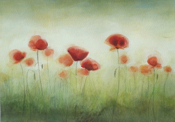 Акварель маки и девушка