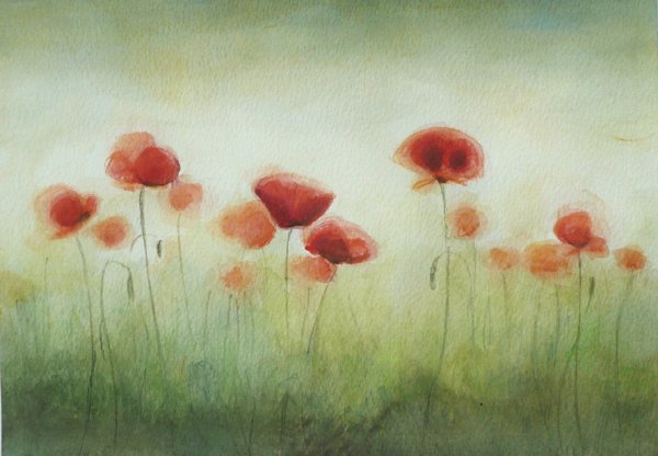 Небо маки акварель