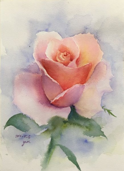 Роза акварель Rose Aquarelle