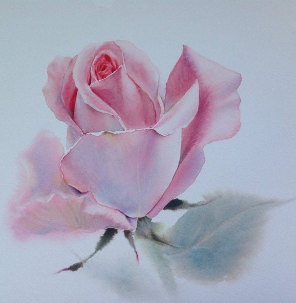 Акварель Sattha Homsawat (Lafe)