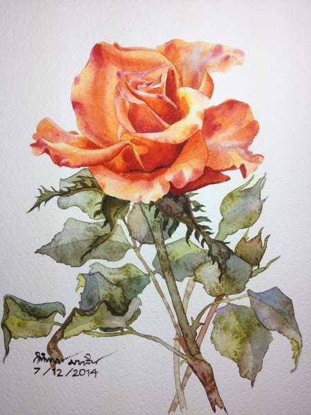 Kitipong Maksin картины