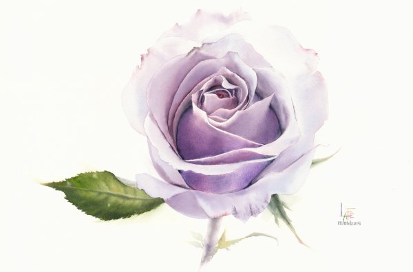 Розы... Художник - акварелист la Fe, Тайланд.