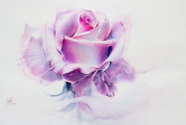 Розы... Художник - акварелист la Fe, Тайланд.