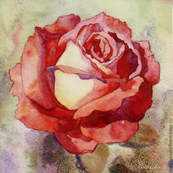 Роза Aquarell