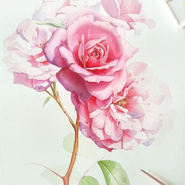 Евгения Бабичева художник