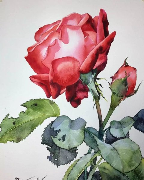 Kitipong ti художник