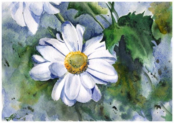 Ромашки гуашью