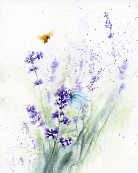 Лаванда акварель
