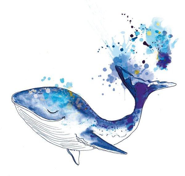 Иллюстрации акварелью киты