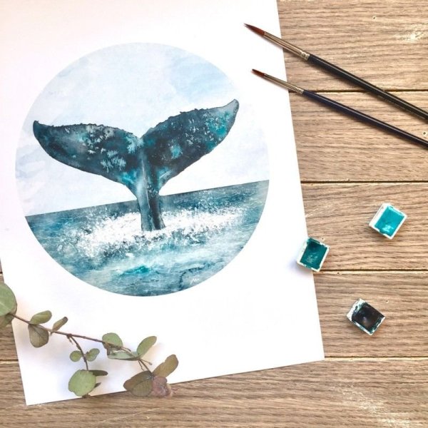 Хвост кита акварель