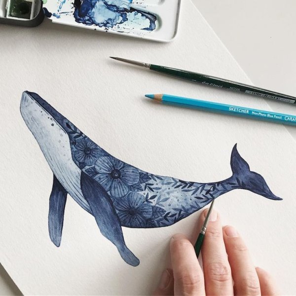 Акварельный кит