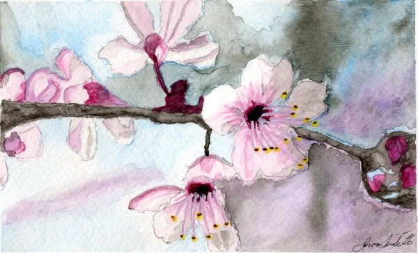 Природа арт