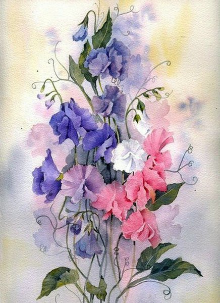 Рэйчел МАКНОТОН