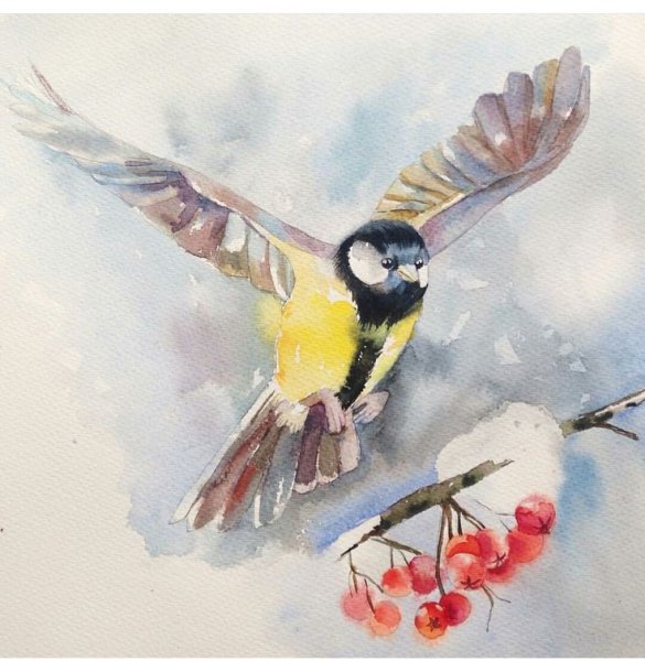 Птички синички акварель