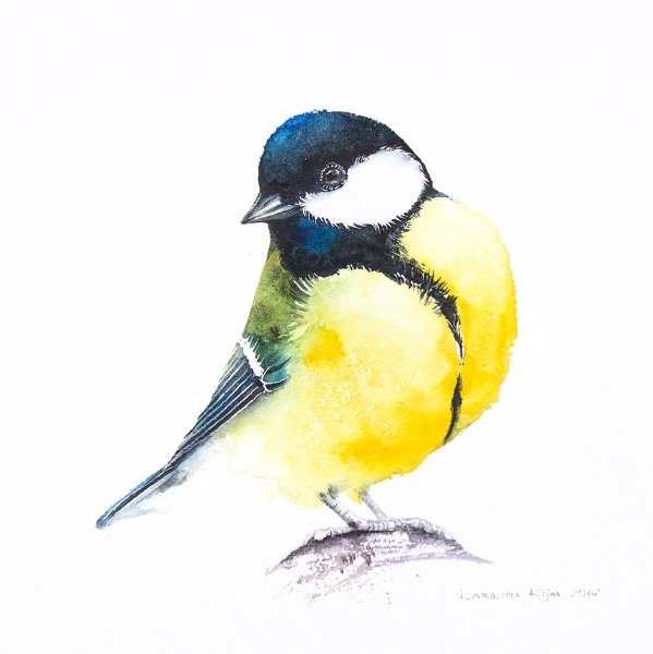 Акварельные синички
