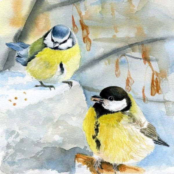 Синичка акварель., пастель