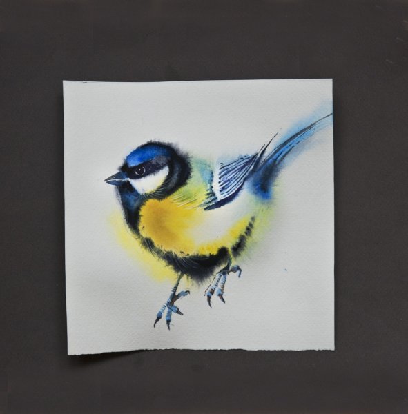 Синичка акварелью