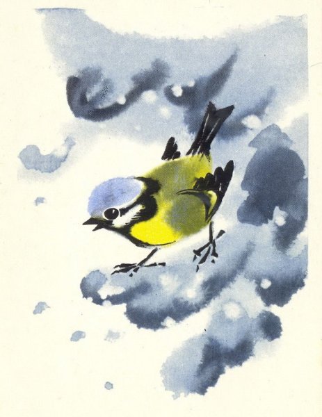 Синичка необыкновенная Сладков