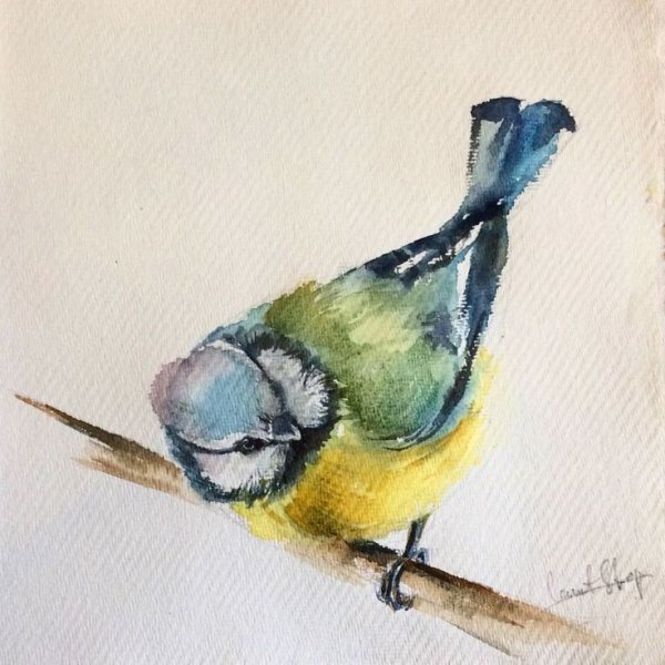 Птицы акварелью