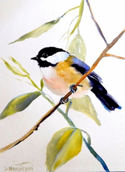 Chickadee картина