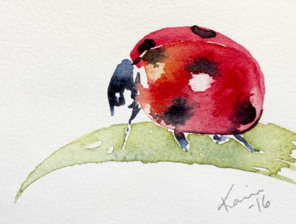 Божья коровка акварелью