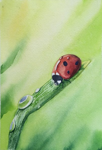 Божья коровка акварелью